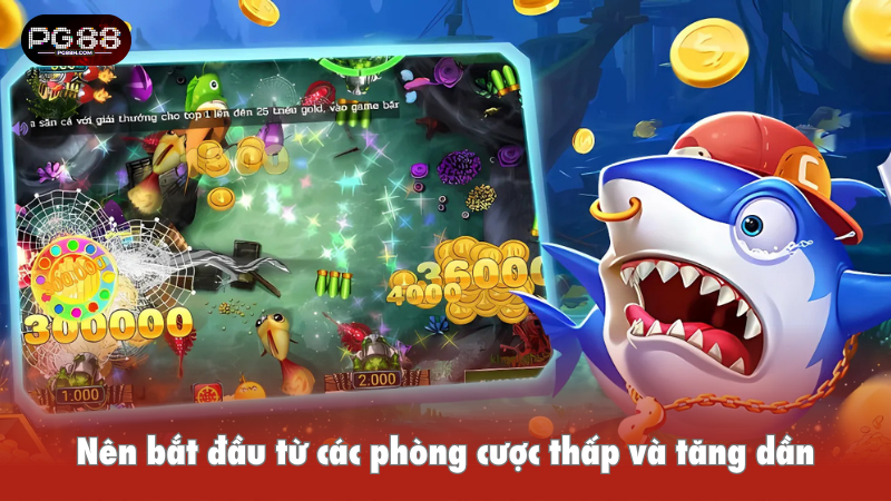 Nên bắt đầu từ các phòng cược thấp và tăng dần