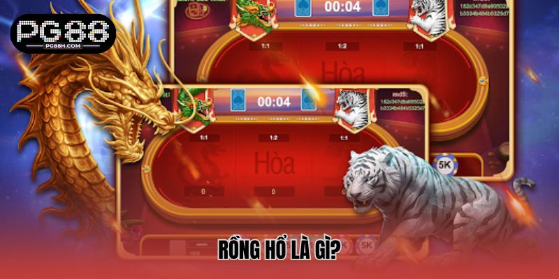 Rồng hổ là gì?