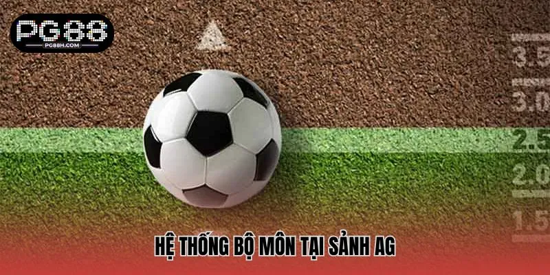 Hệ thống bộ môn tại sảnh AG